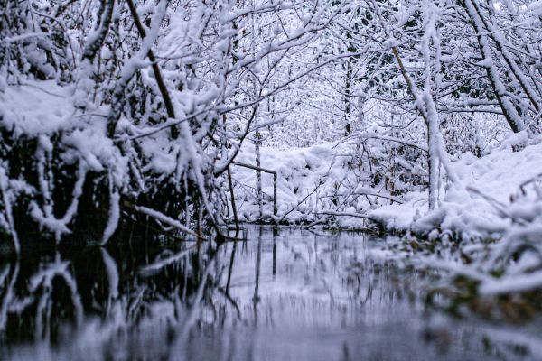 snow3CBF1DBB-8F70-D6B8-D974-9868A2B39C60.jpg