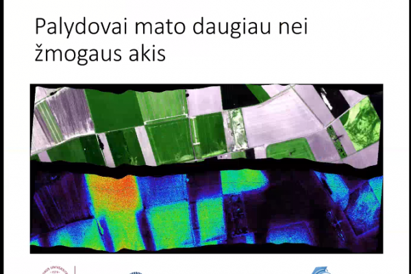 013DB5169BF-42C5-5903-EC3E-9A9A9194F07D.png